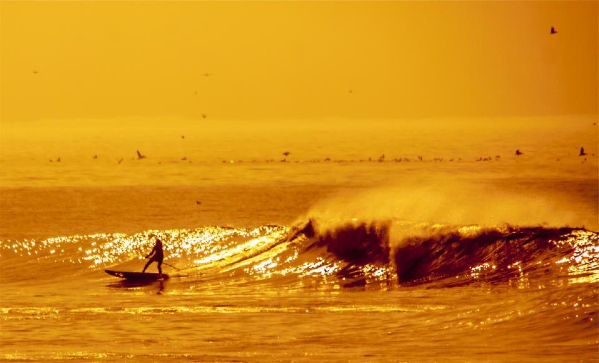 A lone paddle surfer riding a small wave through water turned solid gold by a low sun